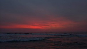 IMG_5058